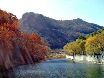 新澳天天开奖资料大全旅游团，黑崎一护的爸爸